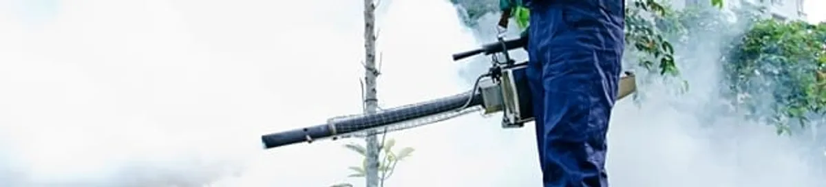 Pest control technician fogging an outdoor area for insect control in Phoenix, AZ