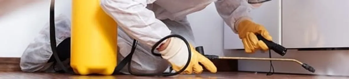 Roach exterminator treating cracks and crevices along kitchen baseboards in Phoenix, AZ