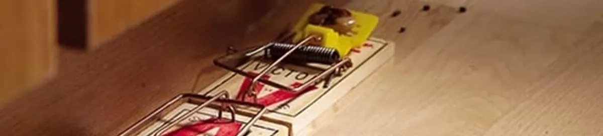 Rodent trap set indoors for rodent control and prevention in Phoenix, AZ